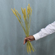 Wheat - Flower Station Dubai