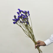 Statice - Flower Station Dubai