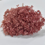 Hydrangea - Preserved - Flower Station Dubai