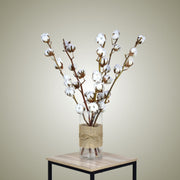 Dried Cotton in Vase - Flower Station Dubai
