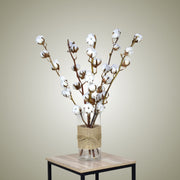 Dried Cotton in Vase - Flower Station Dubai