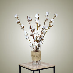 Dried Cotton in Vase