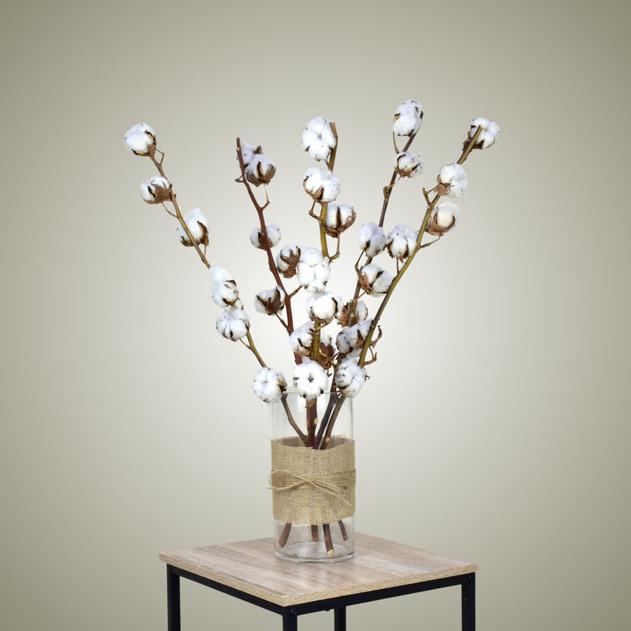 Dried Cotton in Vase - Flower Station Dubai