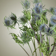 Dried Eryngium in Vase