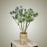 Dried Eryngium in Vase