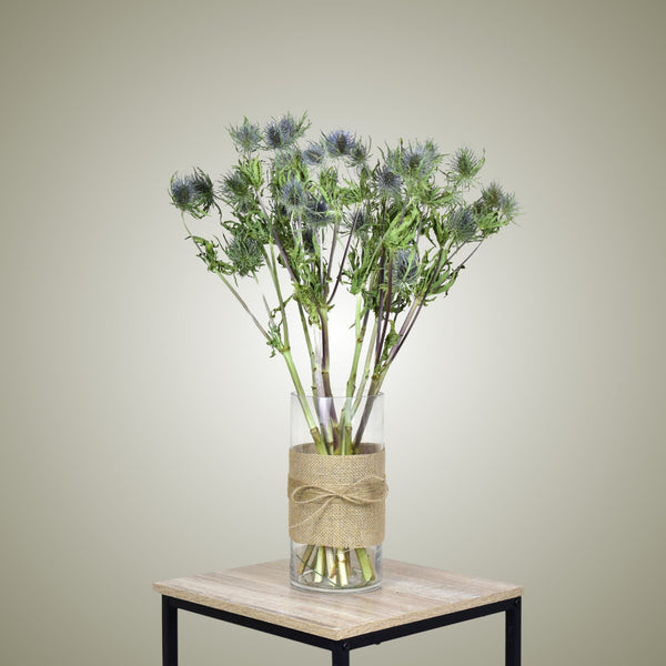 Dried Eryngium in Vase