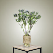 Dried Eryngium in Vase