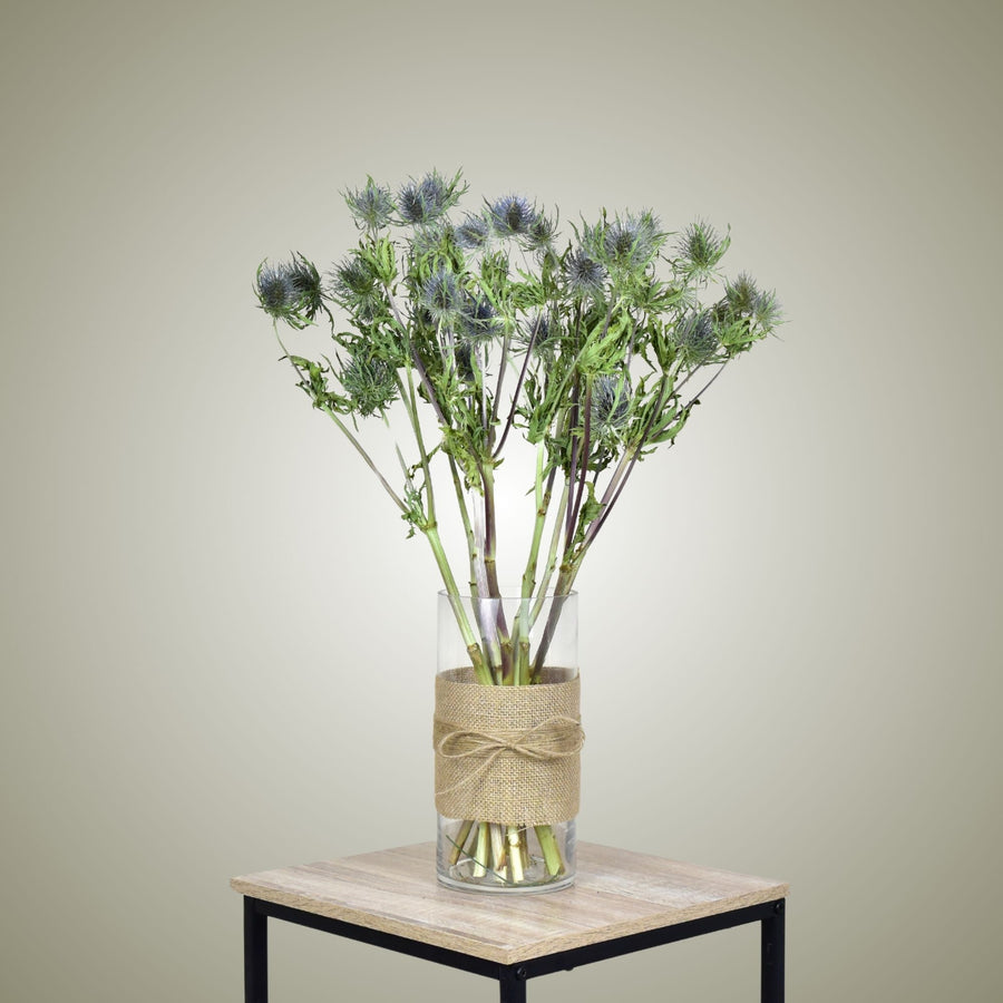 Dried Eryngium in Vase