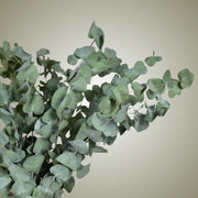 Dried Eucalyptus in Vase - Flower Station Dubai