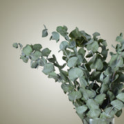 Dried Eucalyptus in Vase - Flower Station Dubai