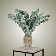 Dried Eucalyptus in Vase - Flower Station Dubai