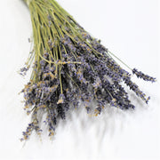 Dried Lavender - Flower Station Dubai