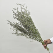 Limonium - Flower Station Dubai