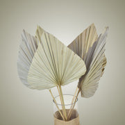 Dried Palm Leaf in Vase - Flower Station Dubai