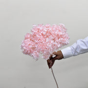Hydrangea - Preserved - Flower Station Dubai