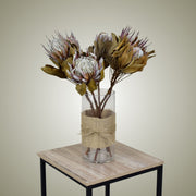 dried-protea-in-glass-vase