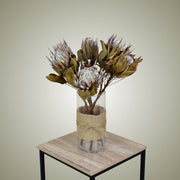 Dried Protea in Vase