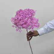 Hydrangea - Preserved - Flower Station Dubai