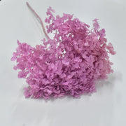 Hydrangea - Preserved - Flower Station Dubai