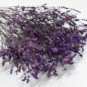 Limonium - Flower Station Dubai