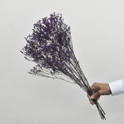 Limonium - Flower Station Dubai