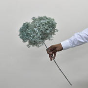 Hydrangea - Preserved - Flower Station Dubai