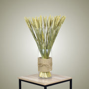Dried Wheat in Vase