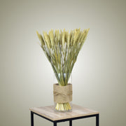 Dried Wheat in Vase