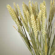 Dried Wheat in Vase