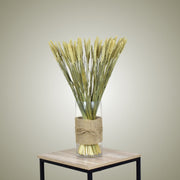 Dried Wheat in Vase
