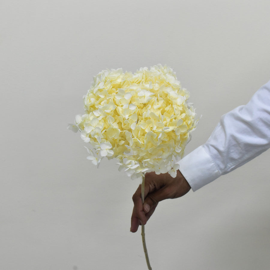 Hydrangea - Preserved - Flower Station Dubai
