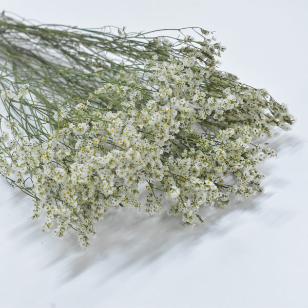 Limonium - Flower Station Dubai