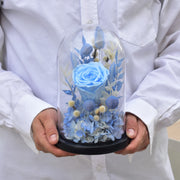 Coral Charm - Forever Flowers - Flower Station Dubai