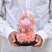 Pink Beauty - Forever Flowers - Flower Station Dubai