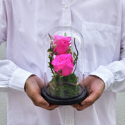 Sweet Heart - Forever Rose - Flower Station Dubai