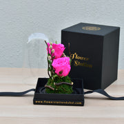 Sweet Heart - Forever Rose - Flower Station Dubai
