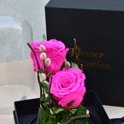 Sweet Heart - Forever Rose - Flower Station Dubai