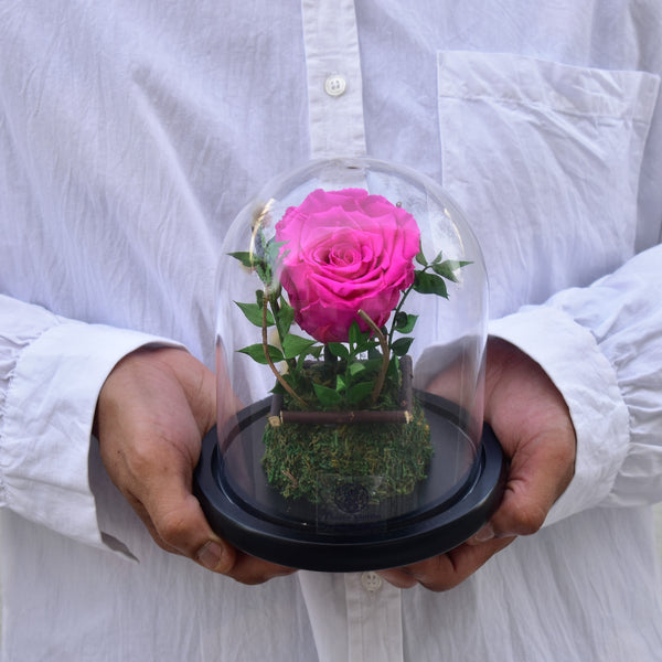 Forever Young - Forever Rose - Flower Station Dubai