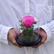 Forever Young - Forever Rose - Flower Station Dubai
