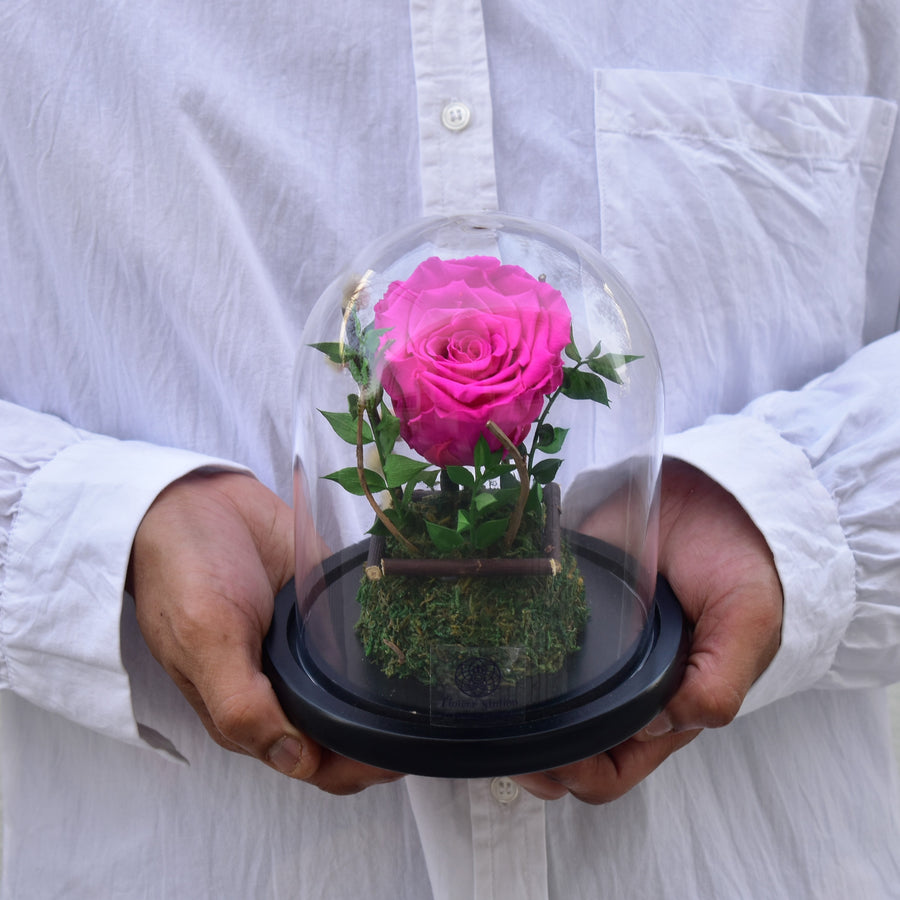 Forever Young - Forever Rose - Flower Station Dubai