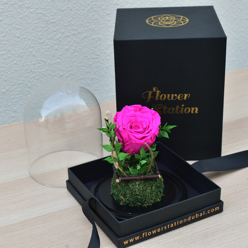 Fuchsia Forever Rose in Glass | Infinity Rose Dubai | Flower Station