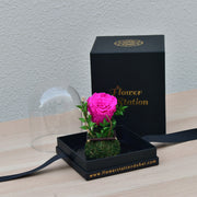 Forever Young - Forever Rose - Flower Station Dubai