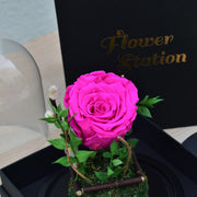 Forever Young - Forever Rose - Flower Station Dubai