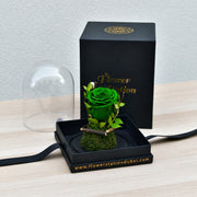 Green Forever Rose