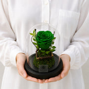 Green Forever Rose