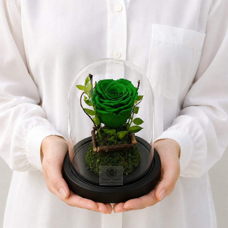 Green Forever Rose