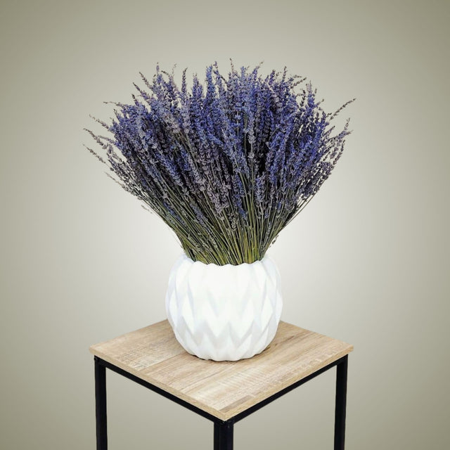 lavender plant dubai Dried Lavender | Dried Flower Bouquet in Dubai