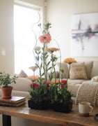 VIP Blooms - Monthly Subscription