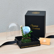 Light Blue - Forever Rose - Flower Station Dubai