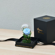 Light Blue - Forever Rose - Flower Station Dubai